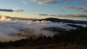 雲海